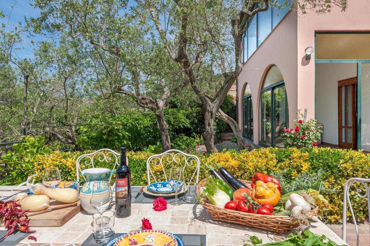 Villa Alfonsina Massa Lubrense Dış mekan fotoğraf
